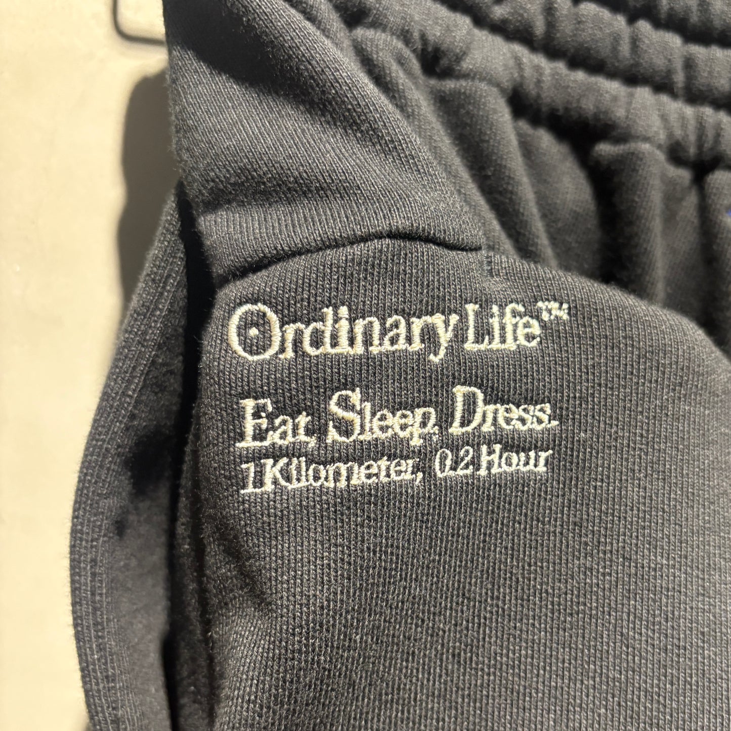 SHINYAKOZUKA 別注款 ORDINARY HOME BAGGY SHORTS 全新